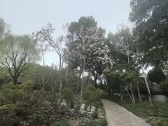 -秋霞圃