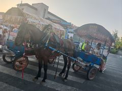 -特克斯八卦城