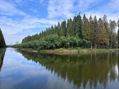 -黄海国家森林公园