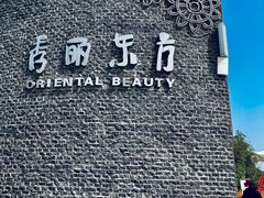 -秀丽东方
