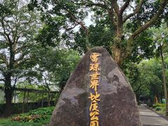 -海口火山口国家地质公园