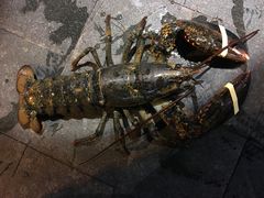 -沈家门海鲜夜排档(东港店)