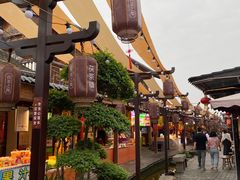 -茯茶镇