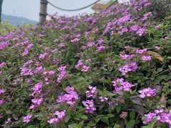 -朋友家餐厅·民宿(龙泉阳光城百工堰公园店)