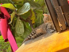 -转山咖啡(松柏社区店)