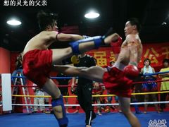 -拳霸泰拳MMA综合格斗搏击馆(浦东馆)