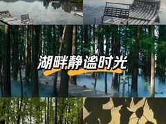 -东湖落雁景区