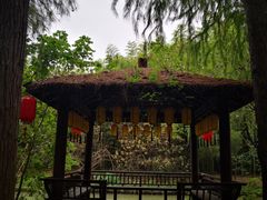 -同里国家湿地公园