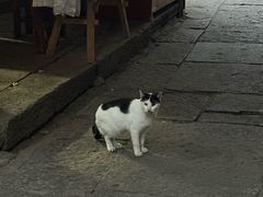 -鸣鹤古镇