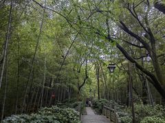 -杭州半山国家森林公园
