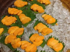 -月龍吟(朝龙汇店)