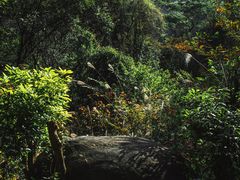 -火炉山森林公园