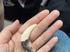 -暴风岛沉浸式体验馆(百联世纪店)