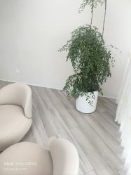 -HEYAN荷妍专业脱毛连锁机构