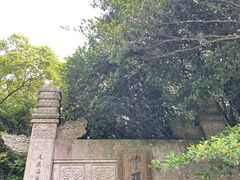 -普陀山风景区-佛顶山