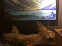 -元生咖啡(陶溪川店)