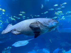 -太平洋海底世界