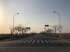 -南汇嘴观海公园