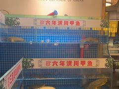 -西郊竹园甲鱼面(老一中店)