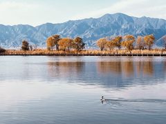 -野鸭湖国家湿地公园