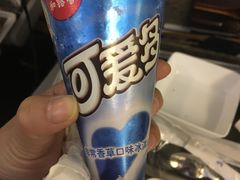 -新加坡航空公司(ION)