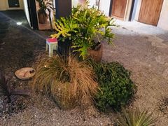 景观位-云里小坐·小院里·团建·宴请·下午茶(三圣乡店)
