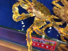 -渔人码头(洛溪店)