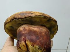 -一坐一忘云南菜(卓悦中心)