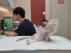 -御宝贝24h宠物医院·转诊中心·CT核磁血透中心(厦门总院)