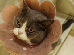 -Catmate·猫肥家润(金润铂宫店)
