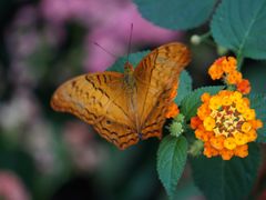 -上海动物园(地铁站)