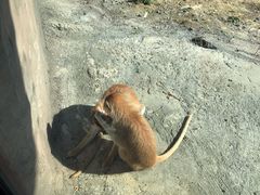 -杭州野生动物世界