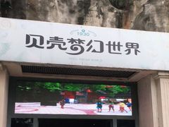 -贝壳梦幻世界