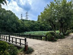 -八卦田遗址公园