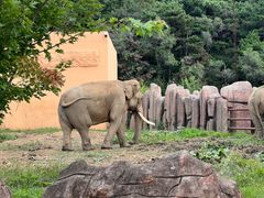 -沈阳森林动物园