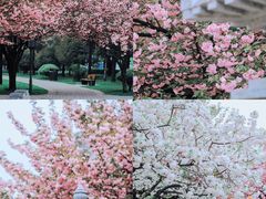 -唐城墙遗址公园