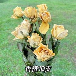 -小梨·OndaPro·专业脱毛连锁机构