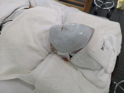 -贞禾医美·连锁