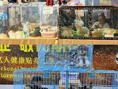 -鹏欣水游城