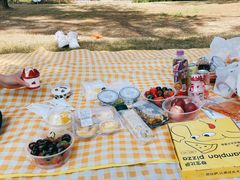 -铁山坪森林公园