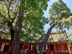 -少华山国家森林公园
