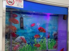 -雅悦齿科(顾村公园店)