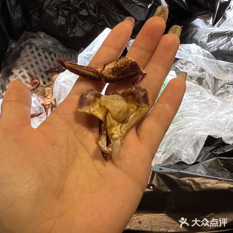 summer's table  「葱姜面包蟹」