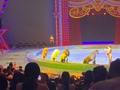 -珠海横琴长隆《卡卡虎奇遇记》