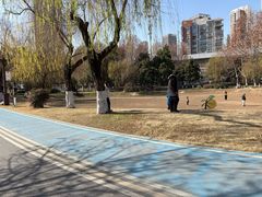 -堤角公园