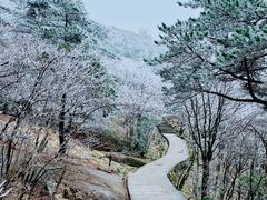 -黄山风景区
