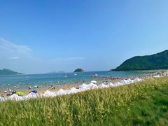 -西涌国际滨海旅游区