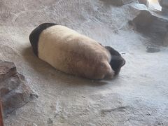 -宁波野生动物园