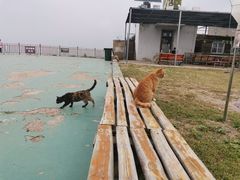 -北京十三陵国家森林公园蟒山景区