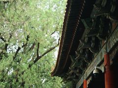 -北京国子监胡同